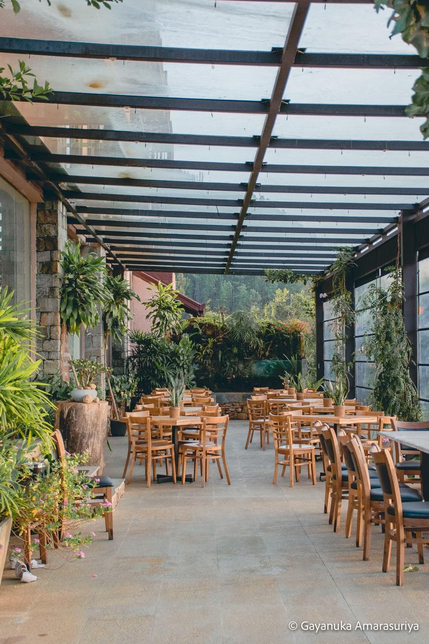 Cozy Outdoor Café