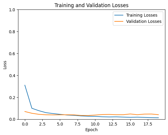 Training and Validation Loss Curves